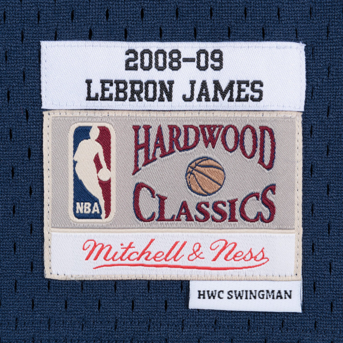 LeBron James - Cleveland Cavaliers Swingman Jersey Alternate 2008 - 09