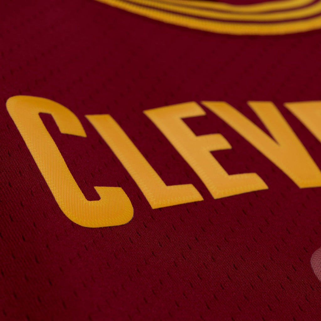 LeBron James - Cleveland Cavaliers 2015 - 16 Jersey
