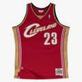 LeBron James - Cleveland Cavaliers Swingman Jersey Road 2003 - 04