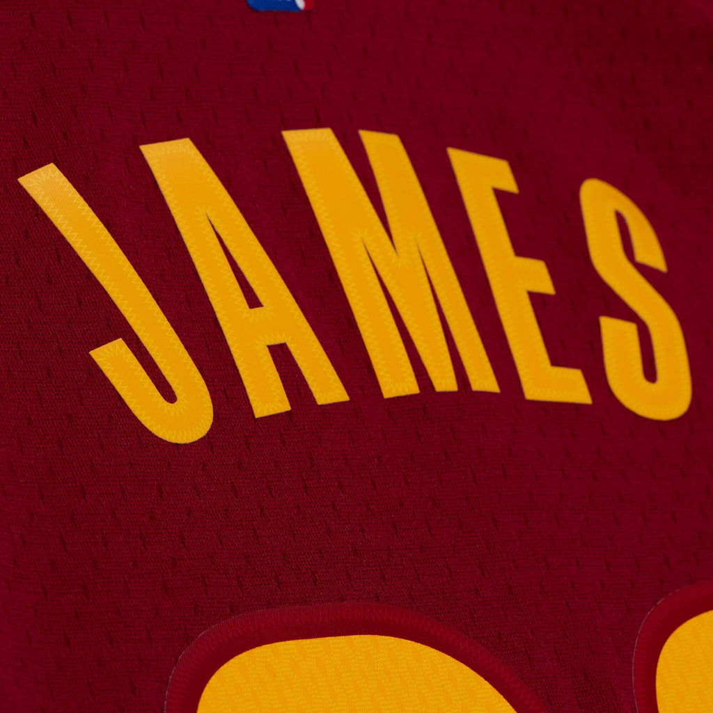 LeBron James - Cleveland Cavaliers 2015 - 16 Jersey