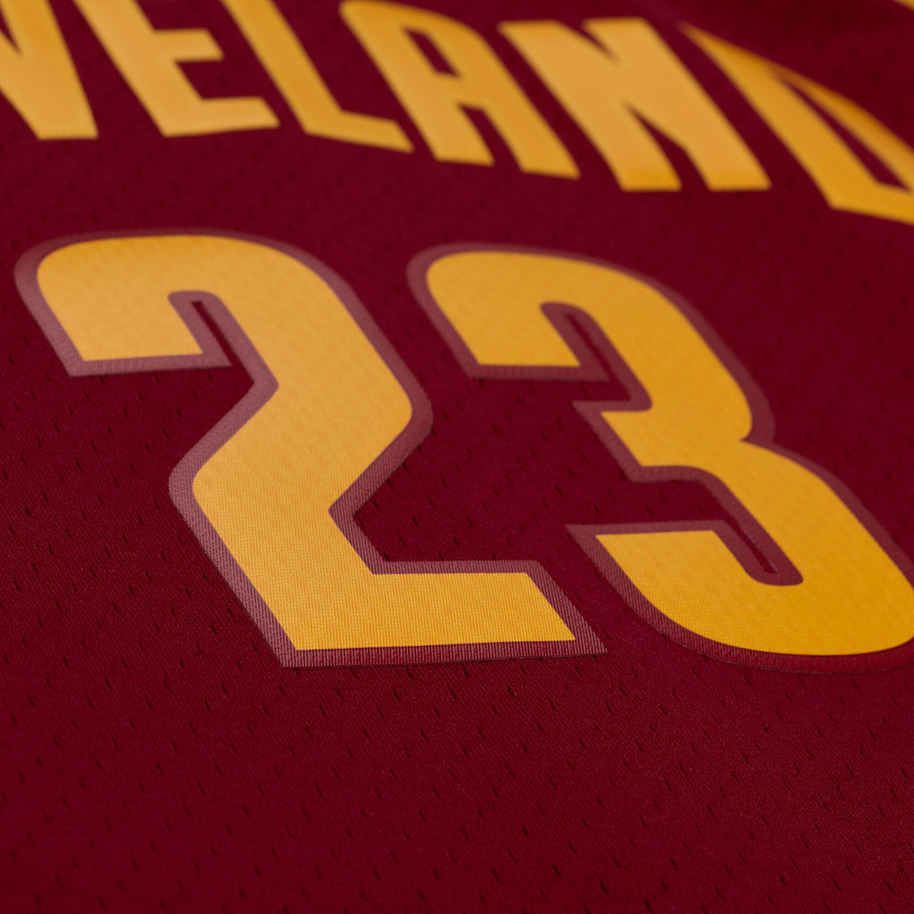 LeBron James - Cleveland Cavaliers 2015 - 16 Jersey